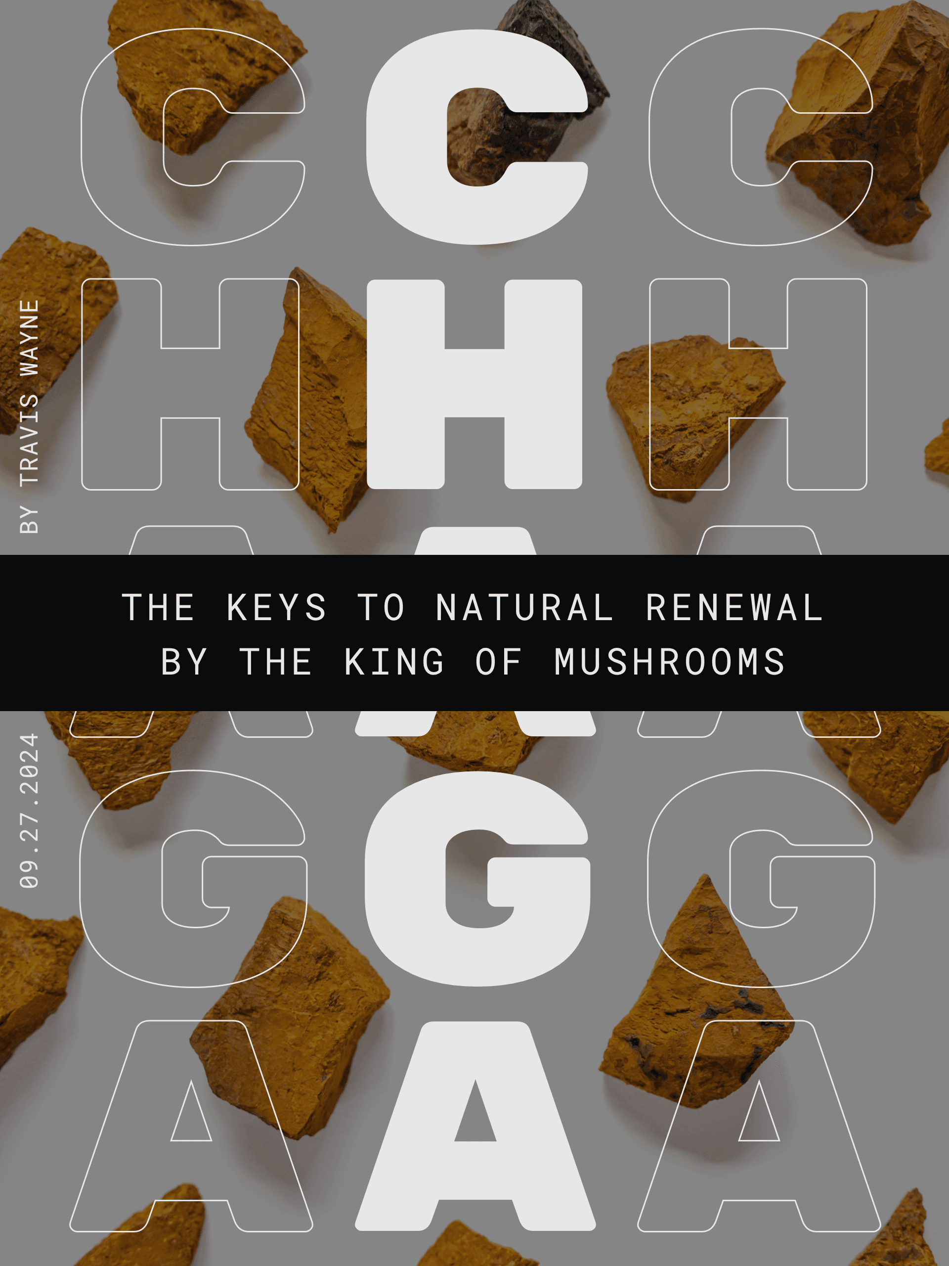 CHAGA: The Keys To Natural Renewal By The King Of Mushrooms